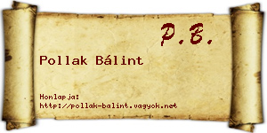 Pollak Bálint névjegykártya